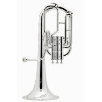 Tenor Horns