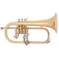 Flugel Horn