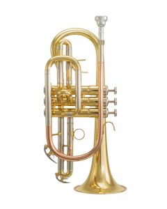 Cornet Elkhart 100cr. Lac. With valve oil