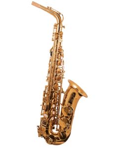 Alto sax TJ the horn. Student. Gold lac. Backpack case.