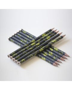 Pencil magnetic - dark grey pencil with green musical instruments and strong magnet on end to attach to music stands