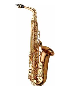 Alto sax Yanagisawa awo2 ( a902 ). Bronze body & crook. Lac. Shaped case.