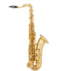 Chateau Valencay  22 gold lacquer finish with rectangular back pack case