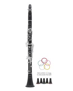 Selmer Prologue delta Clarinet Bb  with case and focus mouthpiece