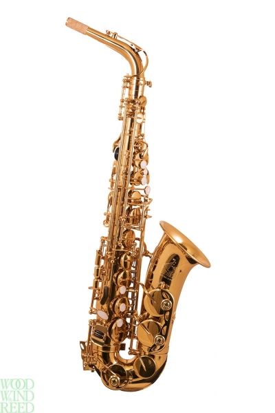 Alto sax TJ the horn. Student. Gold lac. Backpack case.