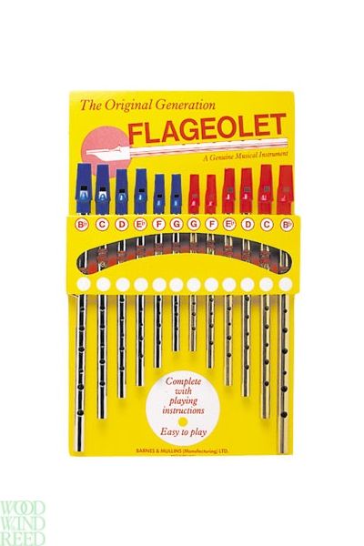 Tin whistle nickel plated in d the original generation