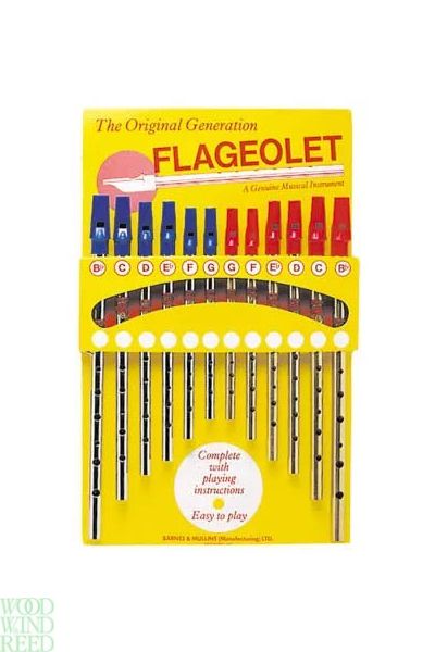 Tin whistle nickel plated in g the original generation