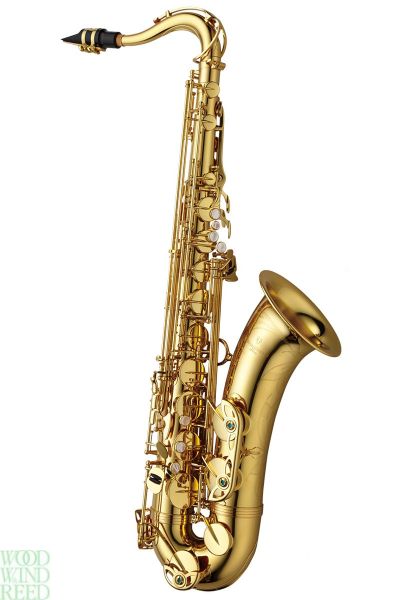 Yanagisawa TWO1 ( t901 ). Lac.
