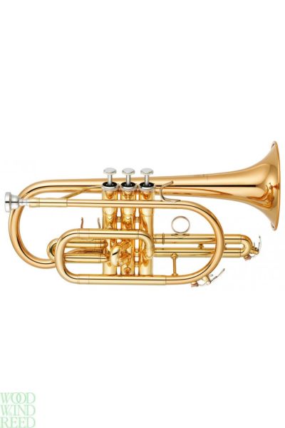Cornet Yamaha YCR4330g ii. Gold brass bell. Lac. With slide grease and valve oil